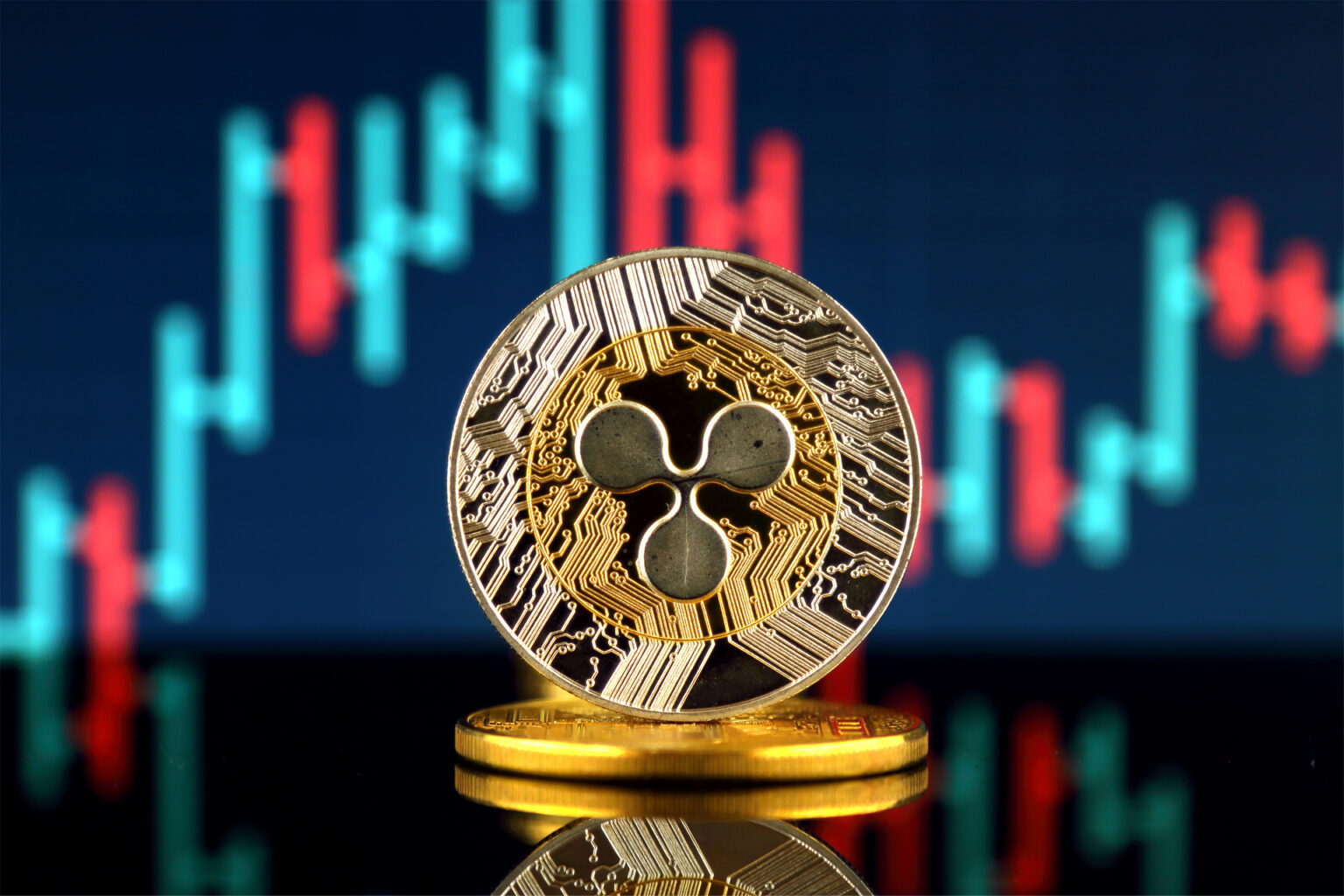 $200 Million Worth Of Crypto Shorts Liquidated In The Last 12 Hours