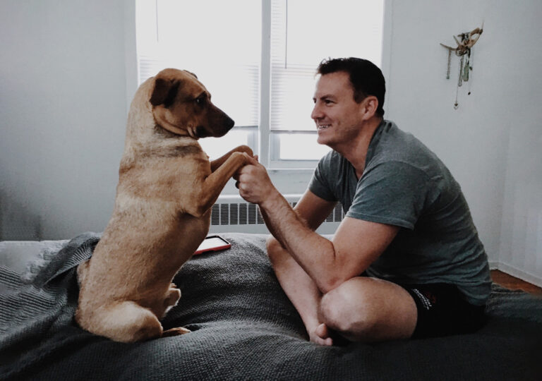 Daring Looks Pets Wore to Health Tech Fashion Week this Year